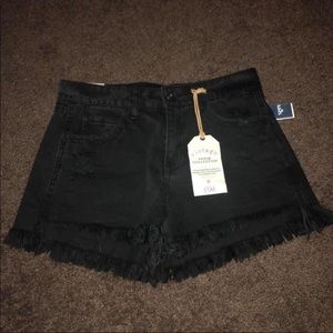 Vanilla Star Shorts!